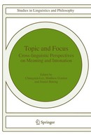 Chungmin Lee (U. A.) | Topic And Focus | Buch | Englisch (2007) | X | Springer
