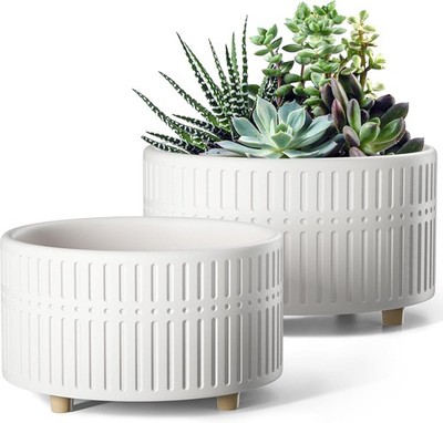 Succulent Pots 6.5 8 Inch Ceramic Indoor Plant Pot W/ Drainage Hole Shallow