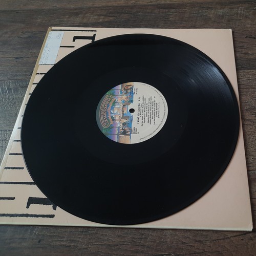 Animotion I Want You Record 12" Vinyl Single Casablanca Promo Copy 884 729-1 - Picture 5 of 6