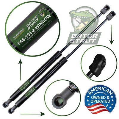 Two Rear Window Glass Lift Supports Strut FAS-194-2 For 2003-2008 Toyota Matrix