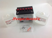 Batterie Start Elektrisch AufsitzmäHer RasenmäHer 12V 24Ah 12N24-3A
