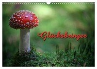 "Calendar 2027 · US Version · Lucky Charm (Wall Calendar 2027 17\" × 12\" Landscape"