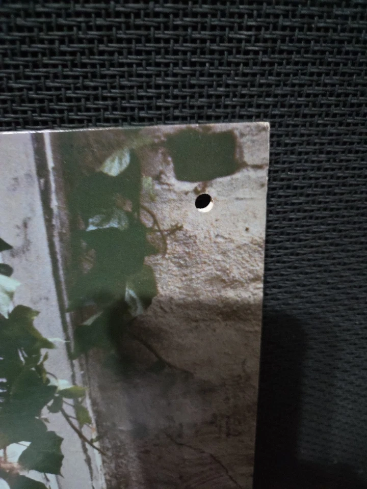 Violent Femmes Self Titled Lp Vinyl 1983 1st PROMO Press Poster/Order/Insert NM- - Image 3 of 4