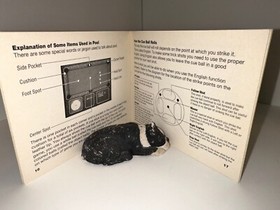 Break time National pool Tour nes manual only 