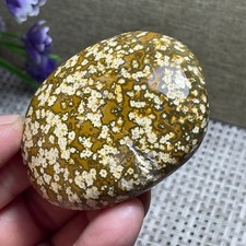 Natural marine Jasper Ocean Stone raw stone rock polished Mineral Specimen 94g