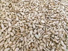15kg Sunflower Hearts Wild Bird Seed 2.80 per kilo