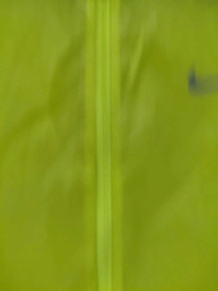 全新无标签 Nike Vapor Cyclone 女式亮黄色跑步夹克。 M 码 — 第 4/4 张图片