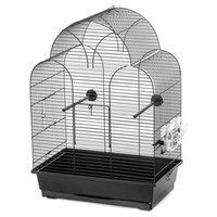 Duvo+ VogelkäFig Sonia Schwarz 45X28X63Cm Mit 2 Futterschalen & Sitzstange