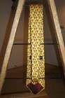 Bild 2 von 12