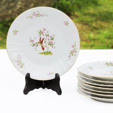 Ensemble de 8 assiettes plates