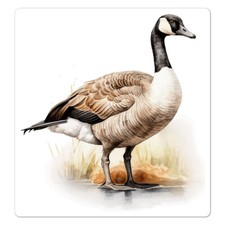 Canada Goose, Vinyl Decal Sticker, Indoor Outdoor, 3 Sizes, 9729