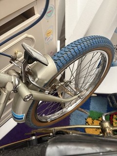 Raleigh Super Grifter