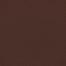 Ford/Lincoln/Mercury Dark Marsala Leather Dye