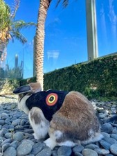 Bunny Holster Rabbit Harness (Made in USA)