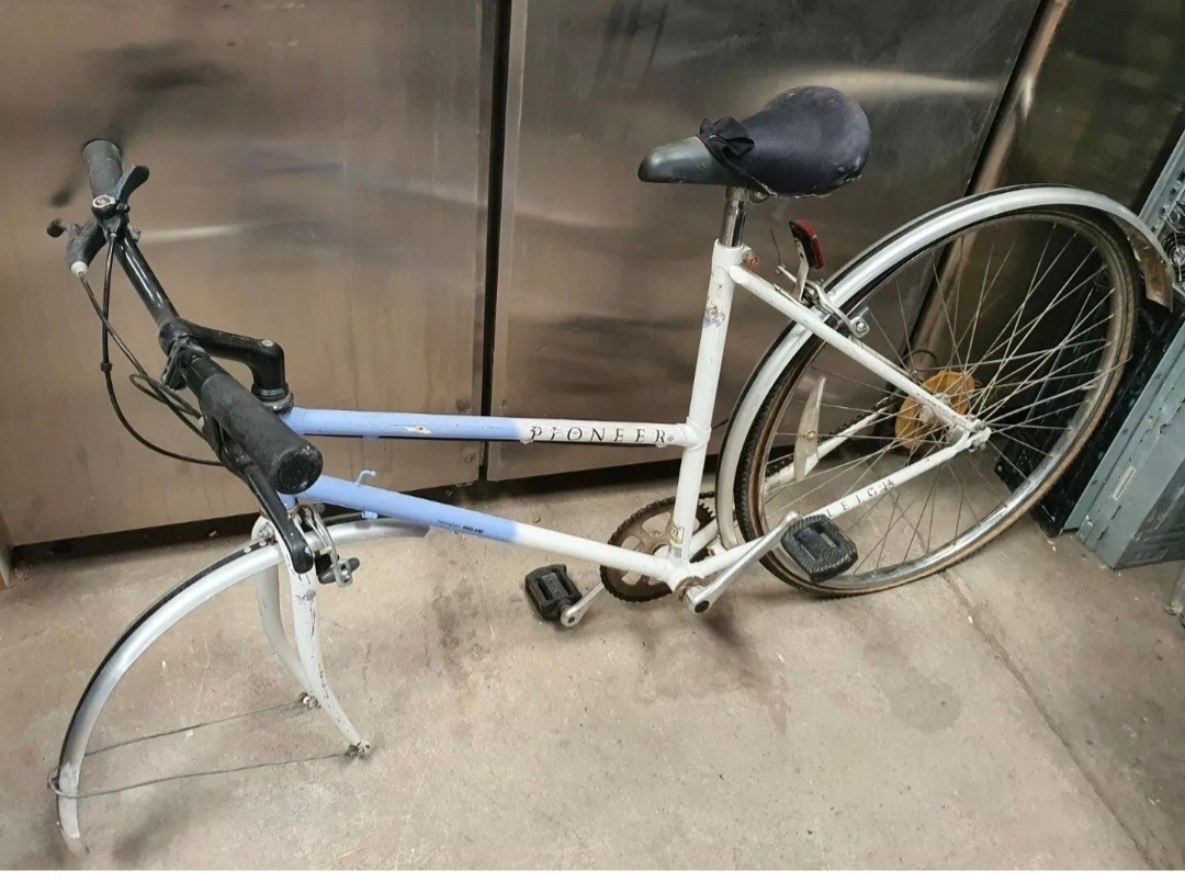 Vintage Raleigh Pioneer Bicycle Raleigh Pioneer Bike Australia