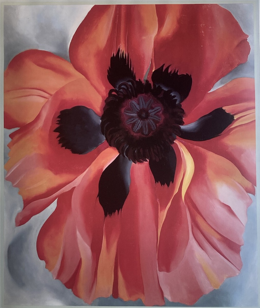 Red Poppy VI 1928 Georgia O'Keeffe Art Print Litho Poster OKL502