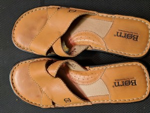 euro 36.5 shoe size in us