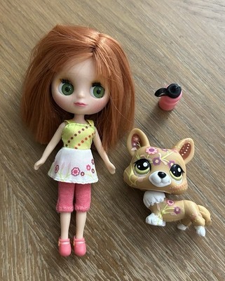 Littlest Pet Shop Blythe Outdoor Afternoon # B19 Doll and 1851 Corgi Dog