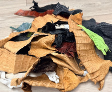 Crocodile Scraps Remnants Piece Hide Leather Skin Scrap Gator Croc taxidermy 310