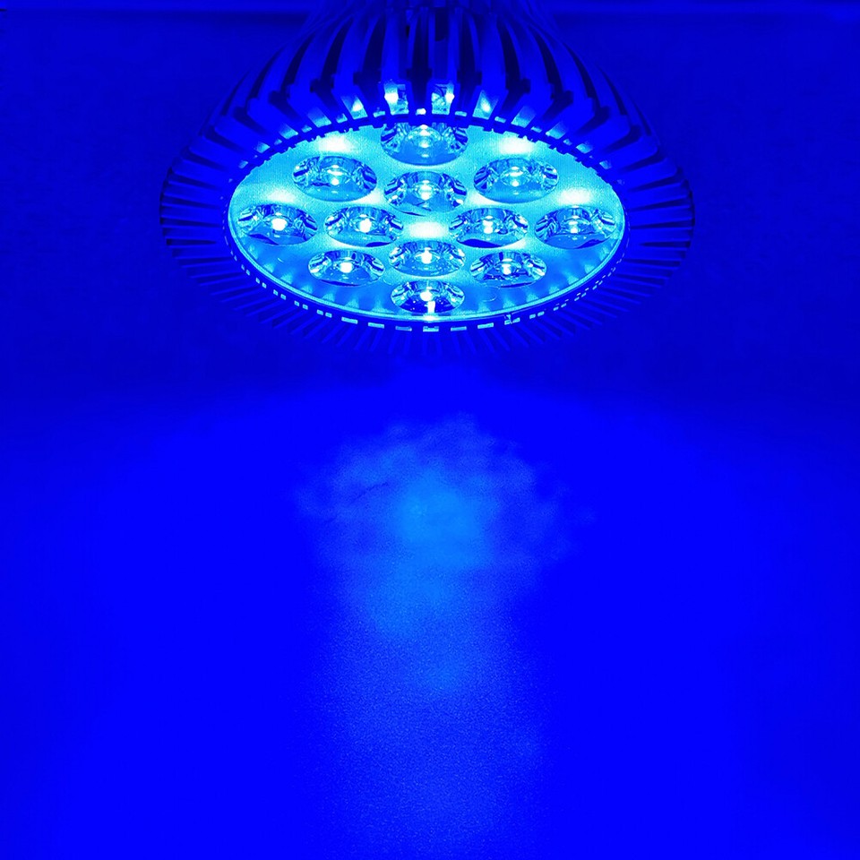 36W PAR38 Blue Cyan 495nm 450nm 470nm LED Lamp Light Spot Bulb Plant ...