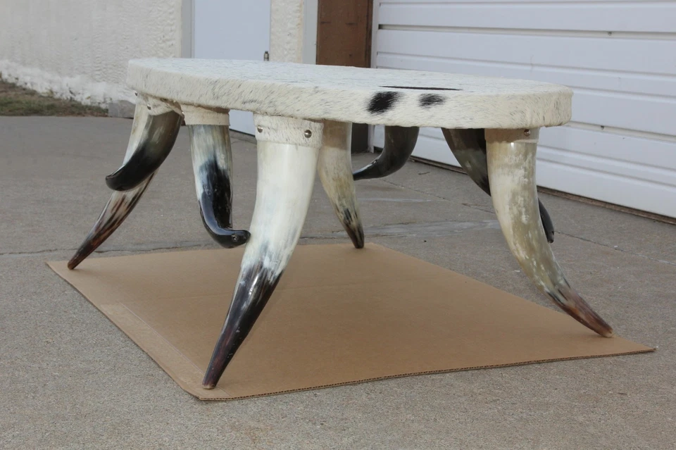 Mesa de centro de vaquero Old Wild West peluda piel de vaca novillo 8 cuernos ovalada blanca y negra Foto 4 de 4