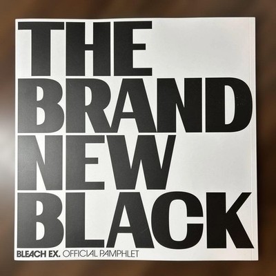 Bleach EX. 20th Anniv. Exhibition Official Pamphlet Art Book THE BRAND NEW BLACK