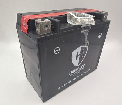 Batterie für 2005 Harley Davidson FLSTSCI 1450 Softail Springer Classic OHNE SÄURE