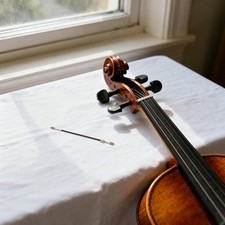 10pcs Violin Tailpiece Tail Gut Cord 3/4 4/4 Tailgut Tail Cord with Screw