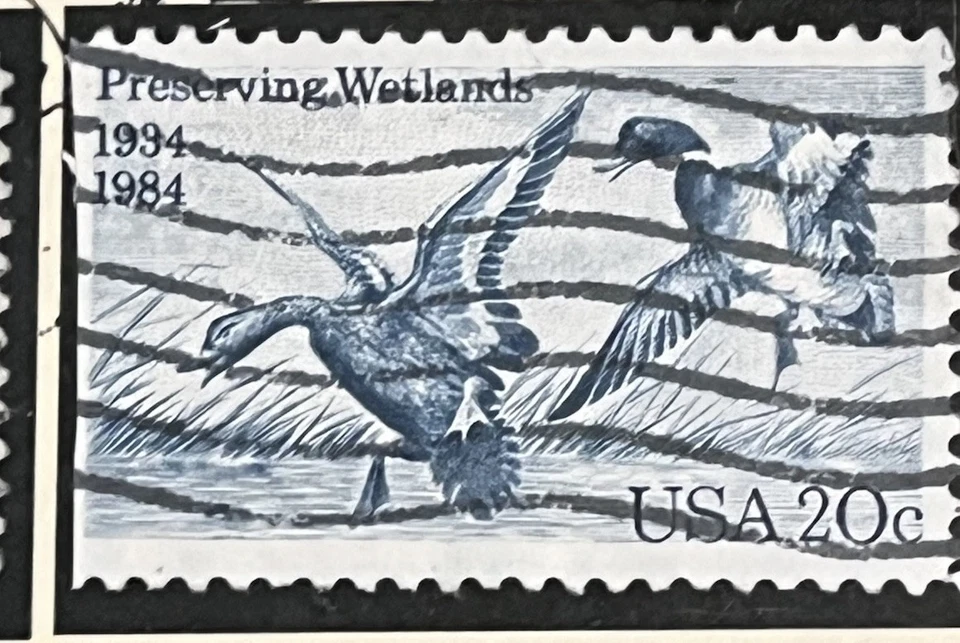 The Reason You Can Not Find Me Here Is That I Am Not Here I’ve GONE HUNTING - Image 2 of 4