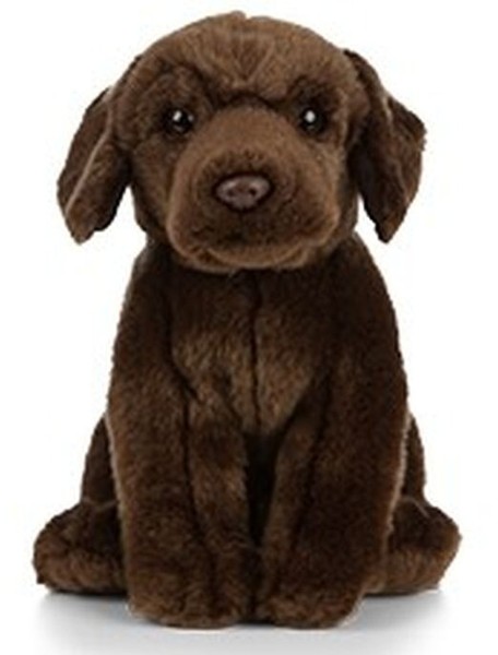 Brauner Labrador 25Cm PlüSchtier Von Living Nature-image