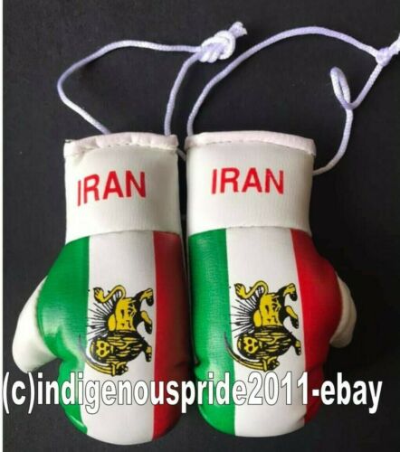 Iran Old  Flag mini boxing gloves for your car mirror-Get the best.Great gift - Picture 1 of 1