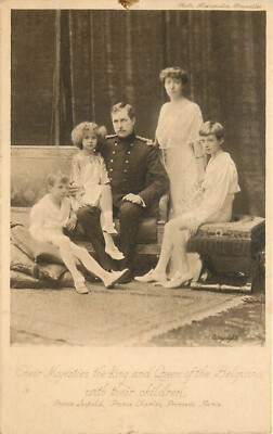 Tuck Postcard The Belgian Royal House Photogravure 4327 Albert I ...