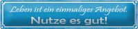 Blechschild Spruch 46X10Cm Leben Ist Ein Einmaliges Angebot Dekoration
