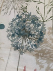 Picture 4 of 8