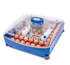Borotto Lumia 56 incubateur d’œufs couveuse 56/224 automatique 💙🥚🐣
