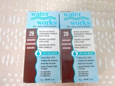 Water Works Permanent Powder Hair Color 28 Burgundy 0.21 oz 2 Pack 