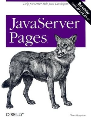 JavaServer Pages : Help for Server-Side Java Developers Paperback