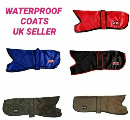 Greyhound Rain Coats