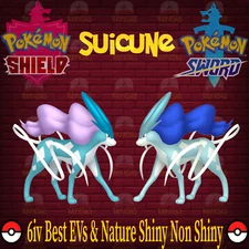 Pokemon Sword and Shield Suicune 6IV Best EVs & Nature 🌟Shiny🌟 & Non Shiny