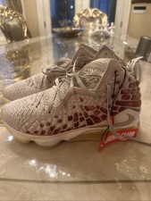 Nike LeBron 17 Win/Win for Sale | Authenticity Guaranteed | eBay