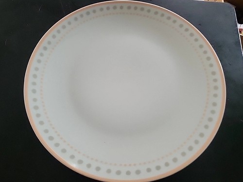 Cheeky I Help End Hunger Ojai 10.5 inch Dinner Plates Lot Of 4 Polka Dots Salmon - Picture 5 of 8