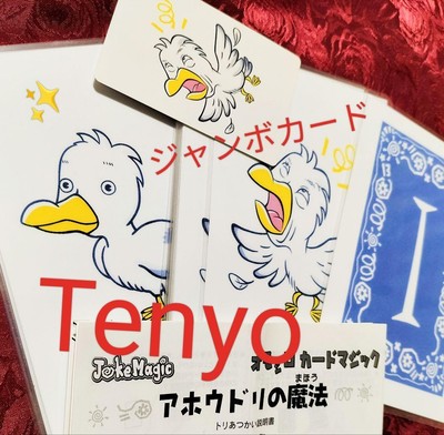 Tenyo The Magic of the Albatross Jumbo Size Fun Card Magic No Box Used