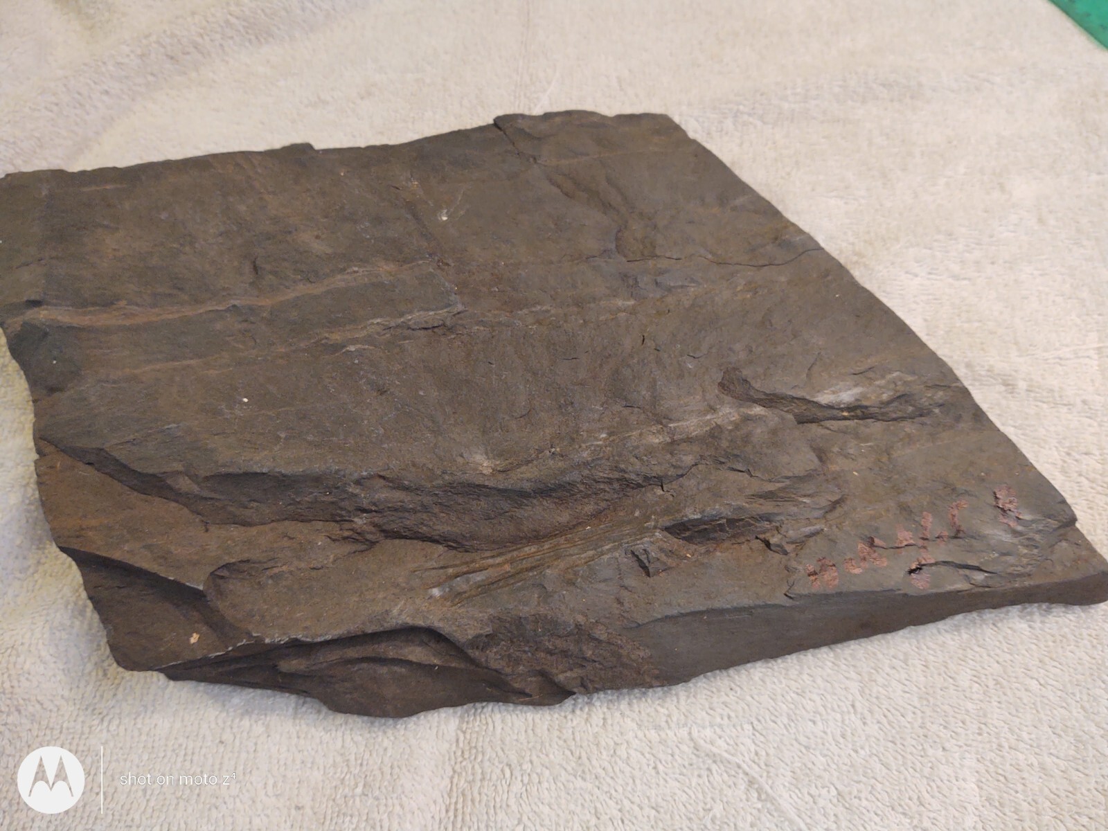 Natural Shale Large Aquarium, Terrarium, Basking Reptiles, 10