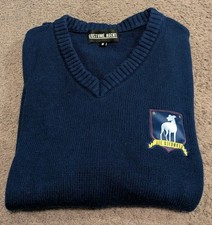 RARE Costume Agent Ted Lasso AFC Richmond V-Neck Long Sleeve Sweater Men's Med