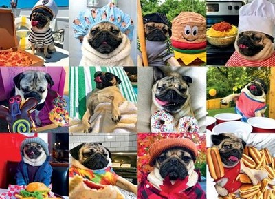 Doug the Pug: Pug Life Jigsaw by Willow Creek Press Hardcover Book