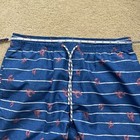 Izod Men’s Blue Striped Lobster Saltwater Swim Trunks w/ Mesh Lining - L - EUC — photo 10