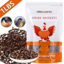 Dried Crickets 1lbs for Reptiles, Birds, and Small Pets Natural Insect Food