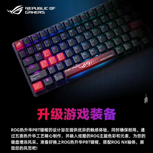 ROG PBT 5 Face Dye-Sub Keycaps 13-Key - Picture 4 of 7