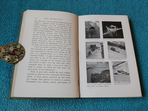Wild Nature's Ways, Cherry & Richard Kearton, Cassell Ausgabe 1903, HB - Bild 13 von 17