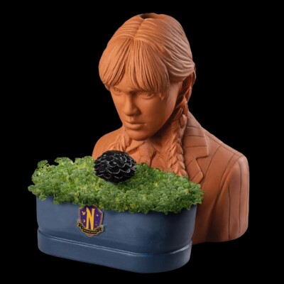 CHIA PET PLANTER WEDNESDAY ADDAMS FAMILY JENNA ORTEGA Chia Head New In Box